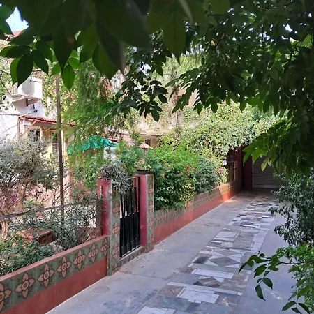 Vijaya'S Homestead Jaipur-2