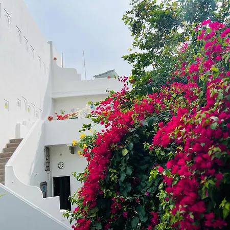 Mosaics Guest House-2